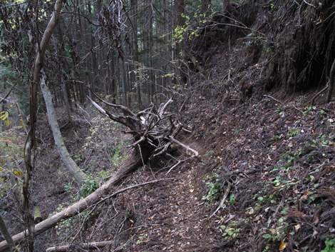 20181126hike (327)